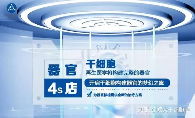 干細(xì)胞簡(jiǎn)介——什么是干細(xì)胞?(圖3) 干細(xì)胞簡(jiǎn)介——什么是干細(xì)胞?(圖3)