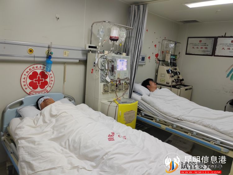 同一天同一采集室 兩只大愛(ài)“兔子”同時(shí)捐獻(xiàn)造血干細(xì)胞(圖1)