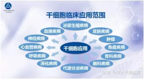 干細(xì)胞簡(jiǎn)介——什么是干細(xì)胞?(圖5) 干細(xì)胞簡(jiǎn)介——什么是干細(xì)胞?(圖5)