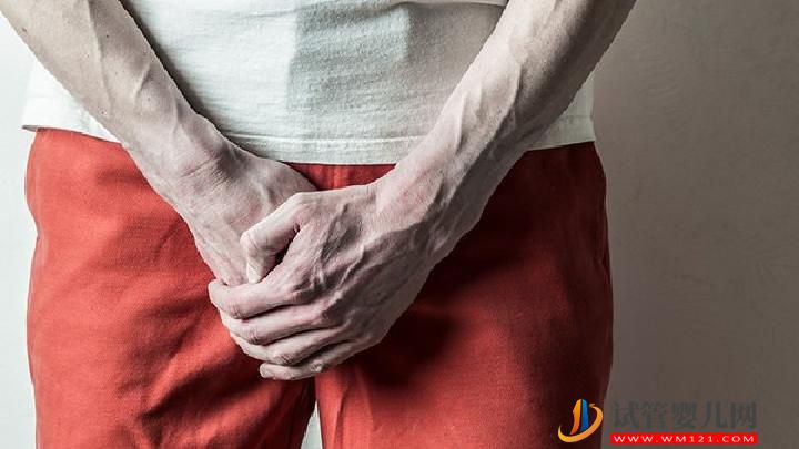 50歲男人吃什么增強性功能 這些食物是男性增強性功能首選(圖3)