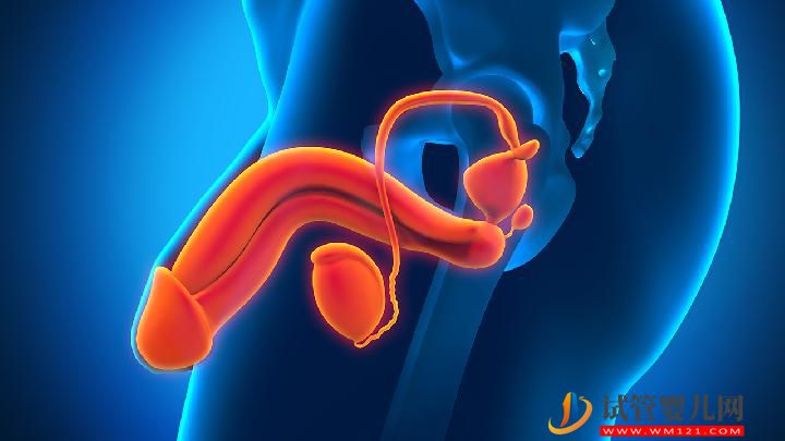 預(yù)防勃起性功能障礙方法有哪些?這幾個(gè)方法預(yù)防勃起性功能障有效-試管嬰兒網(wǎng) 預(yù)防勃起性功能障礙方法有哪些?這幾個(gè)方法預(yù)防勃起性功能障有效(圖1)