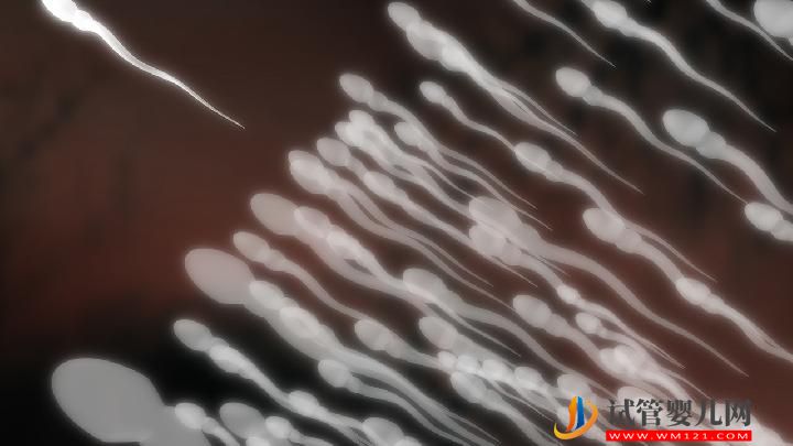 引起男性不育有哪些原因？4大男性疾病易發(fā)男性不育(圖1)