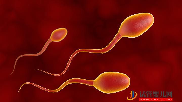 男性不育的6個藥膳療法 6個生活習慣是男性不育誘因(圖2)