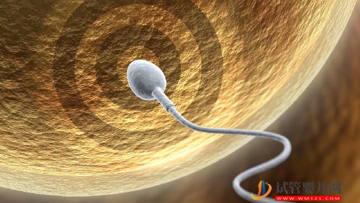 男性不育吃什么調理好？男性不育要多補充4大食物(圖3)
