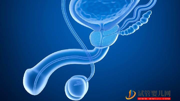 少精癥和無精癥是怎么回事？男性不育癥有什么表現？(圖1)