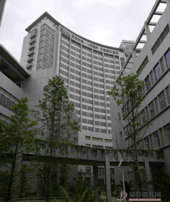 甘美國際醫院試管嬰兒費用明細表，2023助孕過程花費預估(圖1)