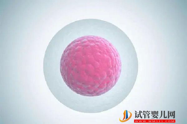 文昌市人民醫(yī)院試管嬰兒費(fèi)用參考，2023造娃價(jià)目表公布(圖2)