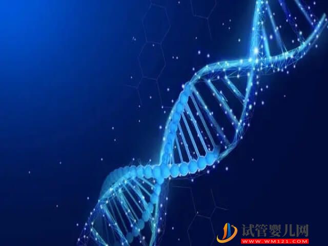 人體內的1號染色體是否是決定了胎兒的智力？(圖1)