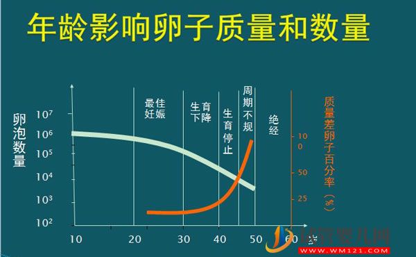 高齡生子做“試管嬰兒”非萬能藥！談談各年齡段懷孕成功率 (圖2)