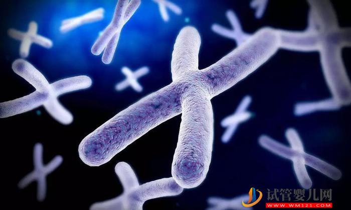 Y染色體完整測序或改善細菌DNA研究(圖1)