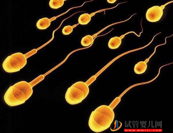胚胎移植前注意事項清單，千萬別忘了體檢、謹慎選機構(gòu)(圖2)
