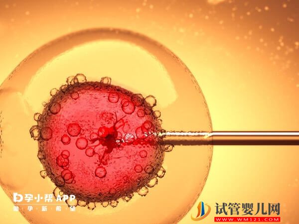 胚胎移植前注意事項清單，千萬別忘了體檢、謹慎選機構(gòu)(圖1)