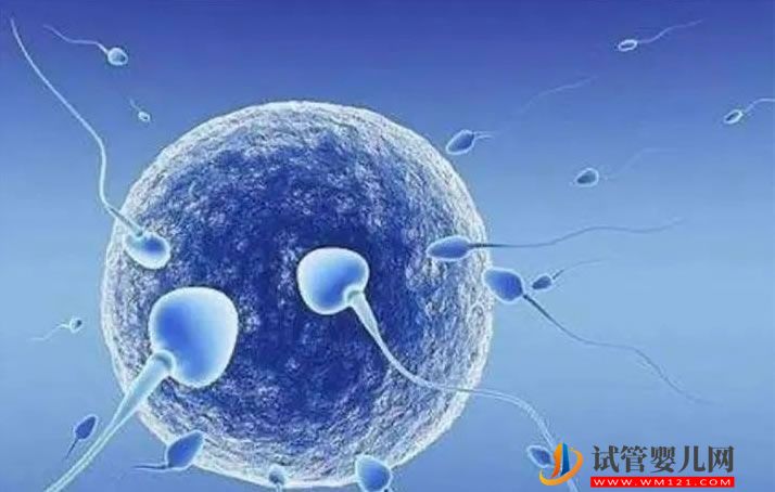 益生菌對腸道健康有益，但這幾種人卻不適合吃益生菌(圖1)