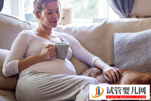 懷孕初期注意事項(xiàng)和飲食禁忌？避免寶寶“偷偷”走掉！(圖1)