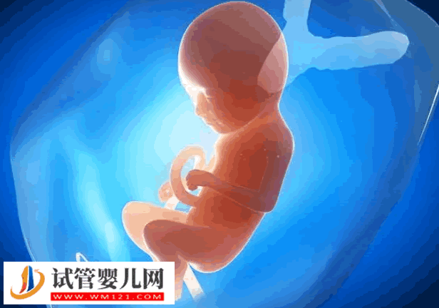 4bb囊胚的移植成功經(jīng)驗分享，選擇合適的移植時間很重要(圖2)