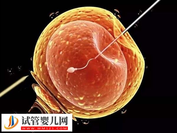 太原市中心醫院做第二代試管嬰兒流程：一促二移歷時4月(圖1)