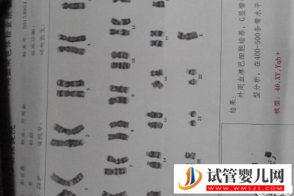 誰說取卵后醫生不會發告知胚胎質量的短信，咋樣看完就造(圖3)