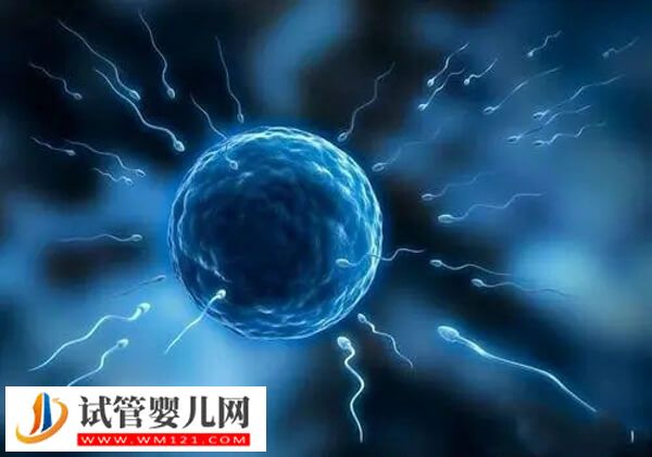 人工授精的危害有哪些(圖1)