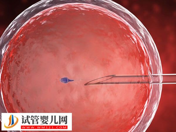 試管嬰兒移植后如何調(diào)理自身身體(圖1)