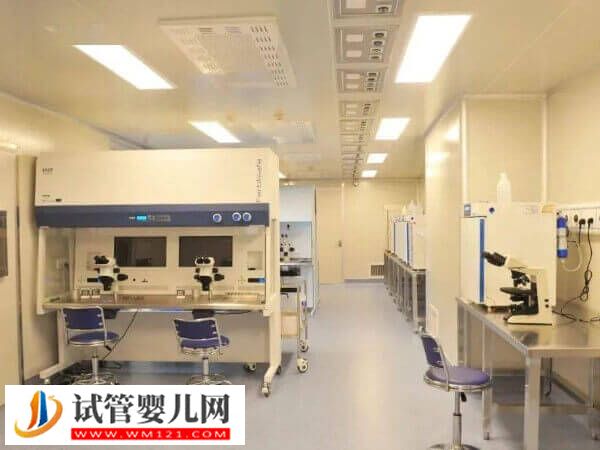 烏克蘭試管嬰兒指南，如何選醫院、助孕要注意什么一并說清！(圖2)