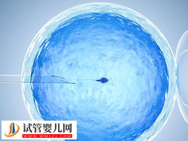 女性閉經(jīng)能不能做試管嬰兒(圖1)