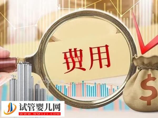 三代試管生雙胞胎女兒要多少錢(圖1)