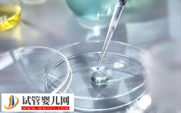 三代試管成功率及優(yōu)缺點是什么(圖1)