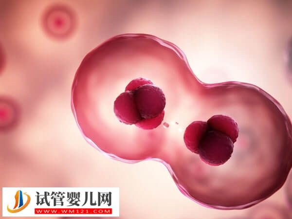卵泡發育不好做試管適合做一代還是二代(圖1)
