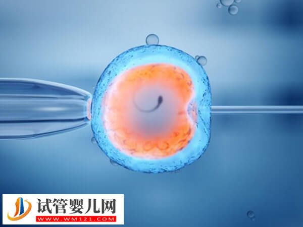 一代試管嬰兒成功率高不高(圖1)