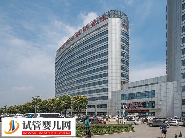 棗莊市婦幼試管嬰兒妊娠率比你想象的高！醫生：情緒很重要(圖2)
