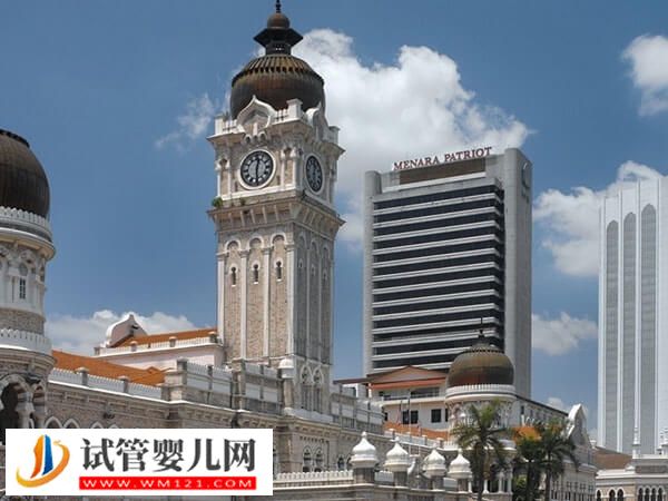 深入解析馬來西亞試管嬰兒優勢，妊娠率不錯是其一(圖1)