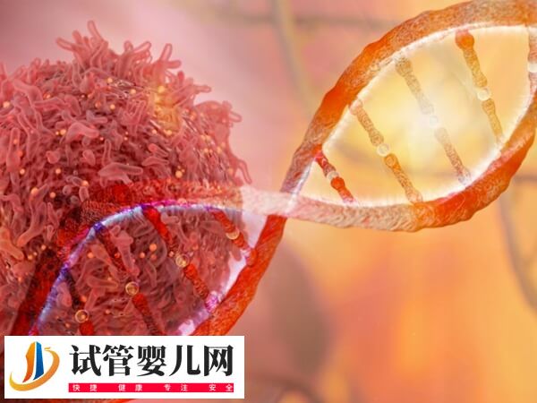 試管嬰兒染色體異常的原因是什么(圖1)