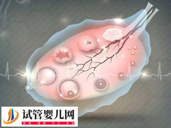 amh5.38算不算正常(圖1)