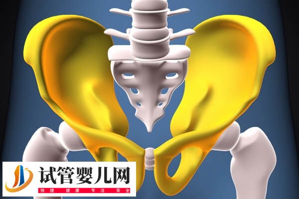 胚胎移植24天后左側胯骨疼是因為長期久臥嗎？(圖1)