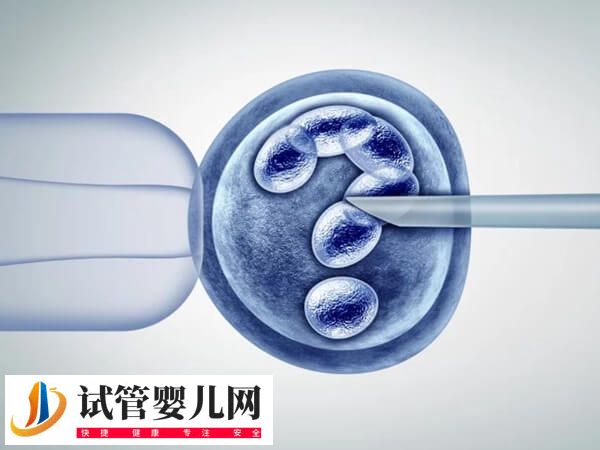 試管雙胞胎中期出血是怎么回事(圖1)