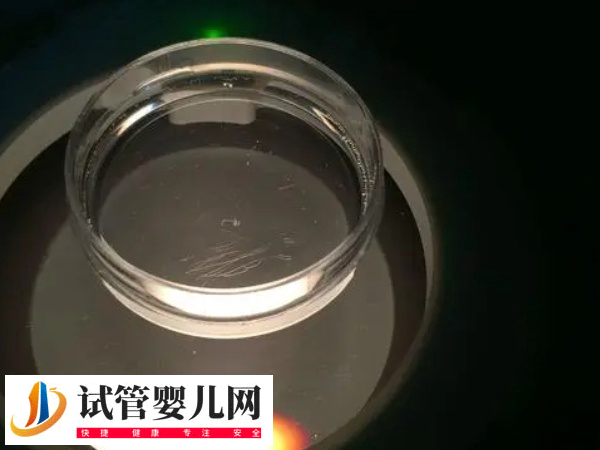 飛機杯取精做試管嬰兒有危險不(圖1)