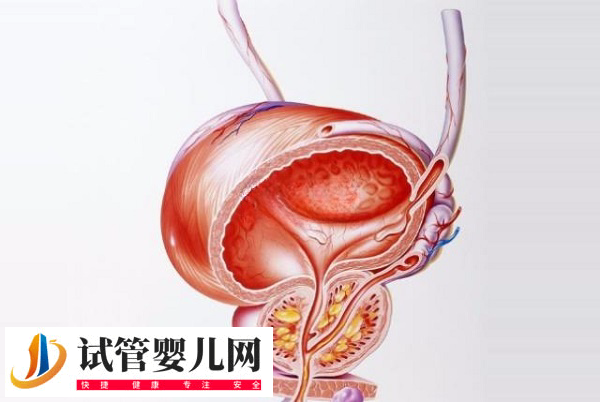 飛機杯取精做試管嬰兒有危險不(圖2)