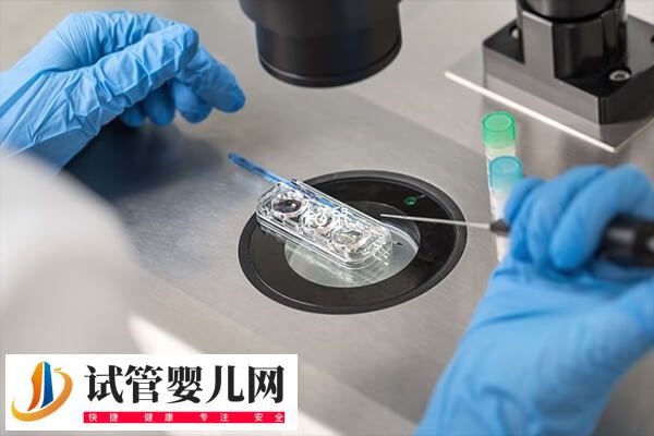 高齡試管移植前怎么調理(圖1)