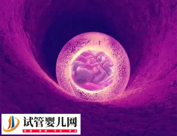 女性卵巢早衰對移植有無影響(圖1)