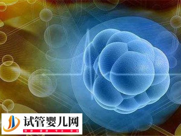 女性卵巢早衰對移植有無影響(圖2)