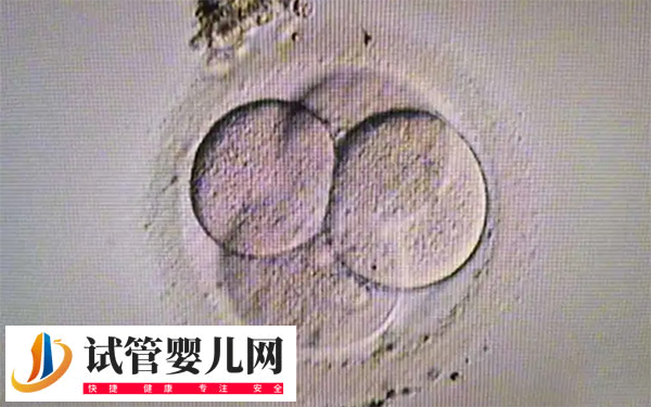 做試管怎么挑選好胚胎(圖2)