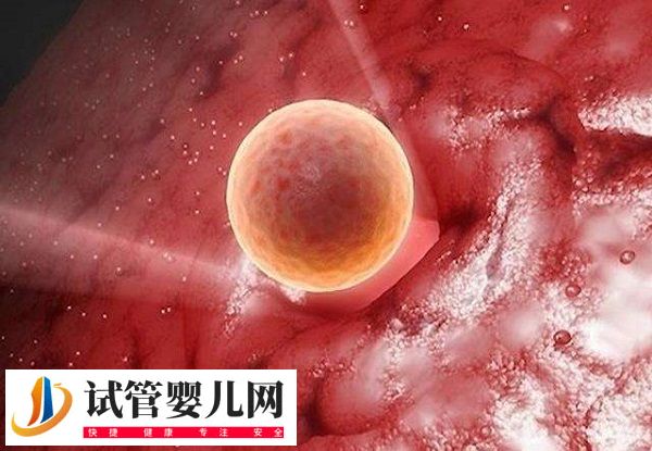 移植放2個胚胎的成活率(圖2)