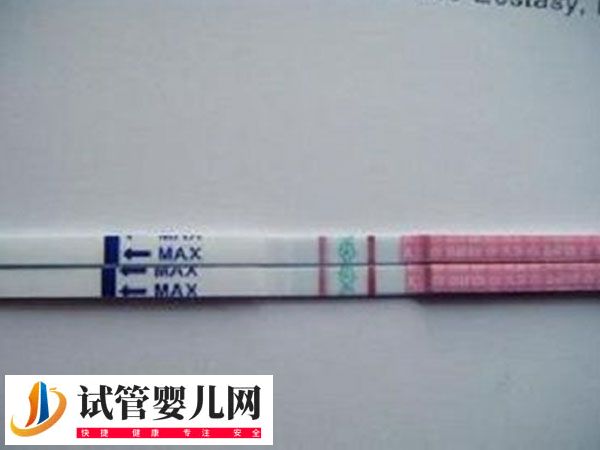 移植放2個胚胎的成活率(圖4)