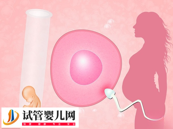 移植放2個胚胎的成活率(圖5)