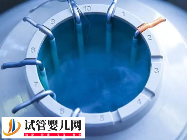 做試管醫(yī)院會不會放錯胚胎(圖1)