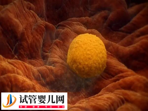 前往俄羅斯做試管移植技術(shù)好不好(圖1)