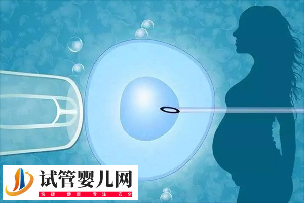 香港試管嬰兒技術如何(圖2)