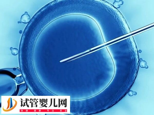 新鮮胚胎移植1-14天的癥狀有哪些(圖1)