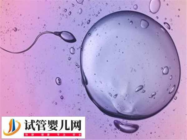 新鮮胚胎移植1-14天的癥狀有哪些(圖3)