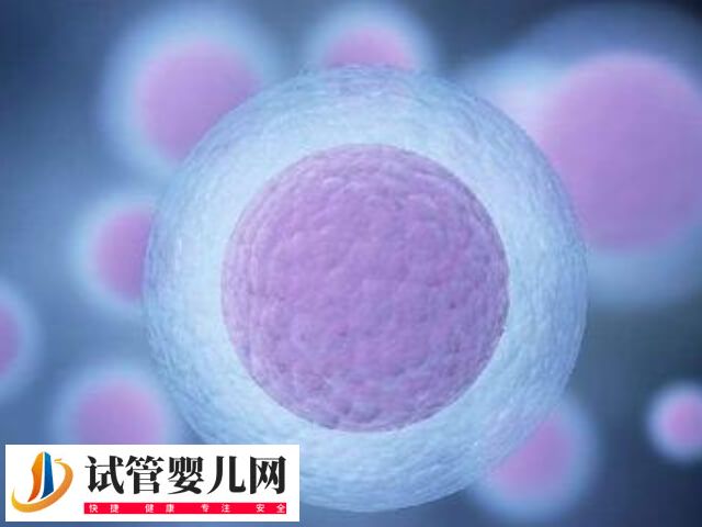做試管嬰兒生三胎需要注意什么(圖1)